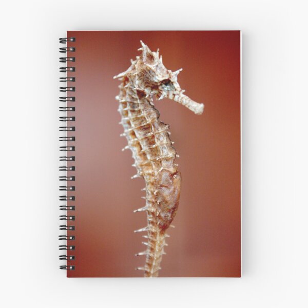 Item preview, Seahorse designed and sold by Daniel Owens.