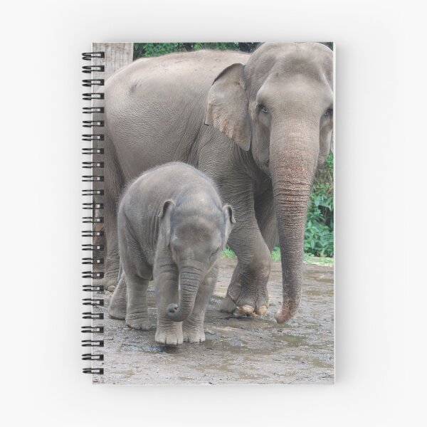 Item preview, She Is My Mom.  designed and sold by Charuhas  Images.