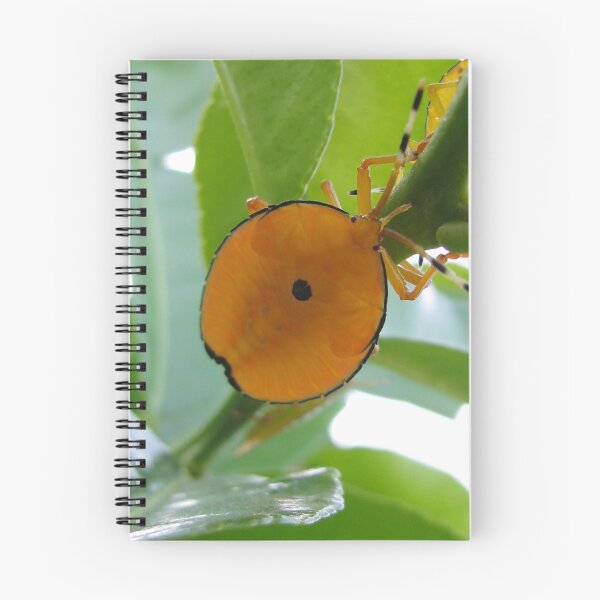 Item preview, stink bug designed and sold by poshbeads.