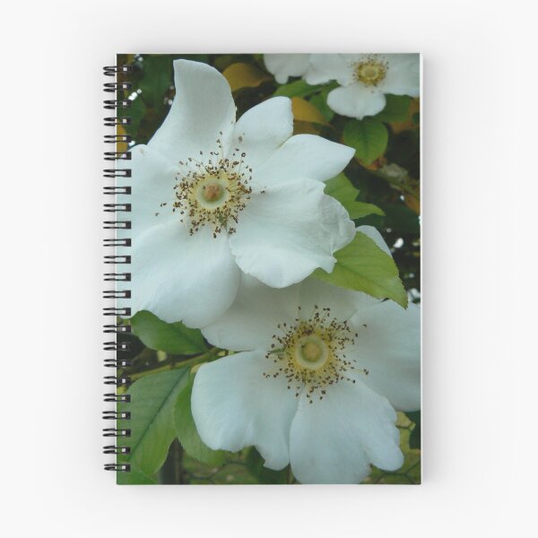 Item preview, Climbing rose designed and sold by StaceyH.