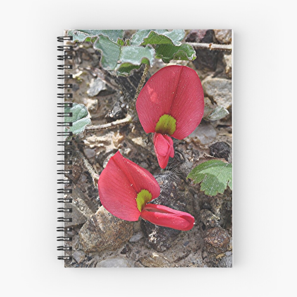 Item preview, Spiral Notebook designed and sold by mtapping.