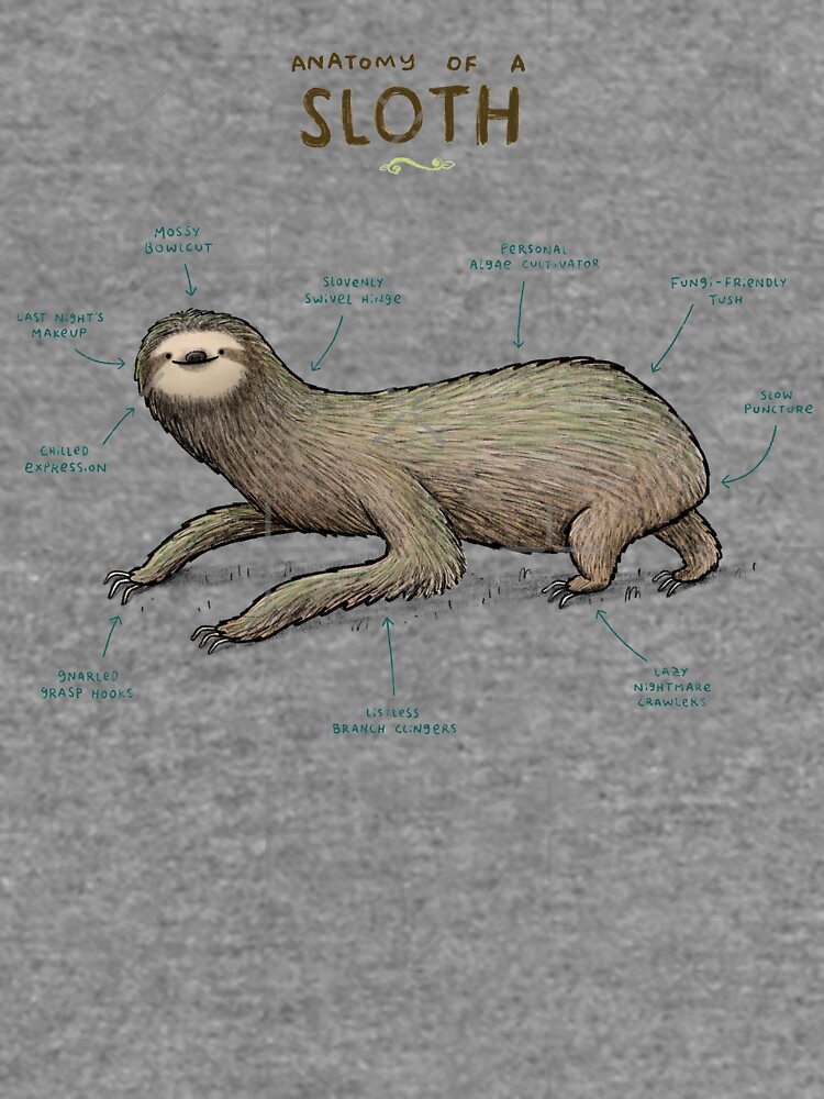 "Anatomy of a Sloth" Lightweight Sweatshirt for Sale by SophieCorrigan