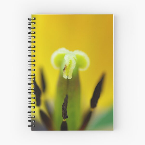 Item preview, Tulipe flower designed and sold by Régis Charpentier.