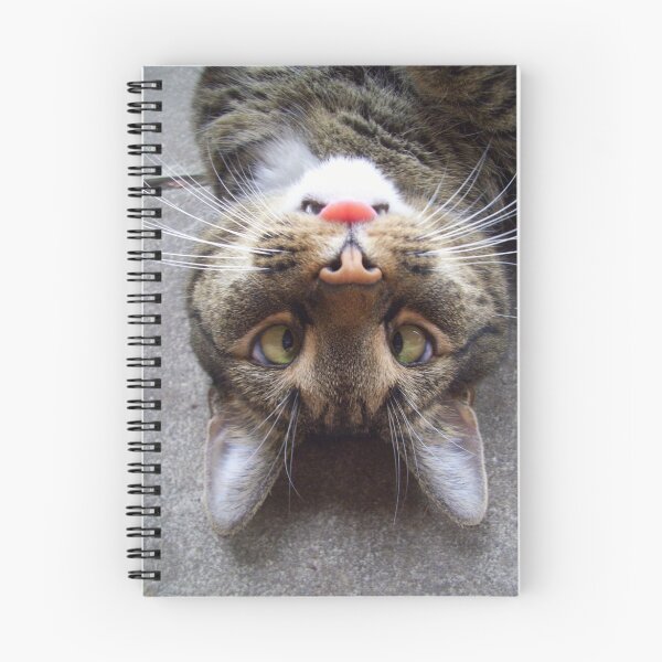 Item preview, Silly Kitty designed and sold by suzannem73.