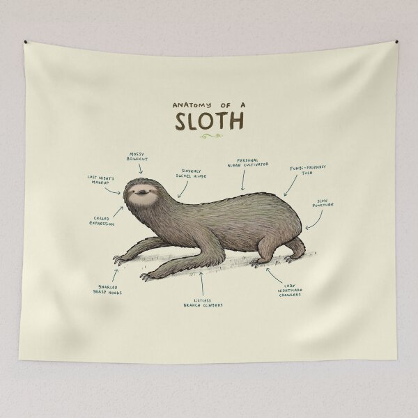 Item preview, Anatomy of a Sloth designed and sold by SophieCorrigan.