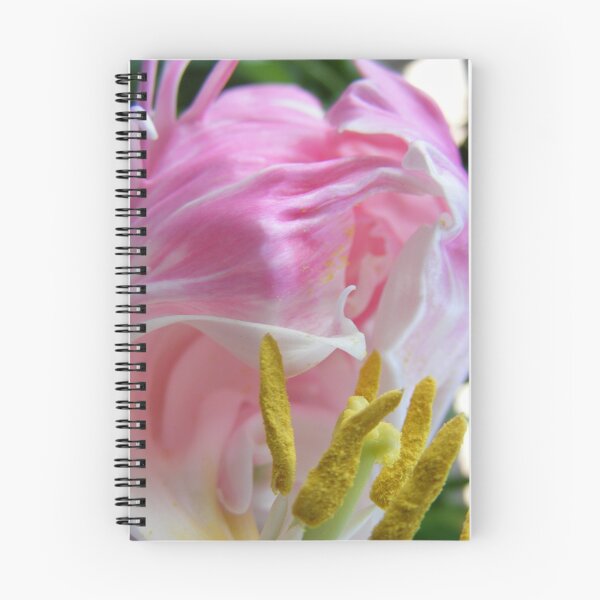 Item preview, tulip beauty - lollipop designed and sold by Gaylene Norton.