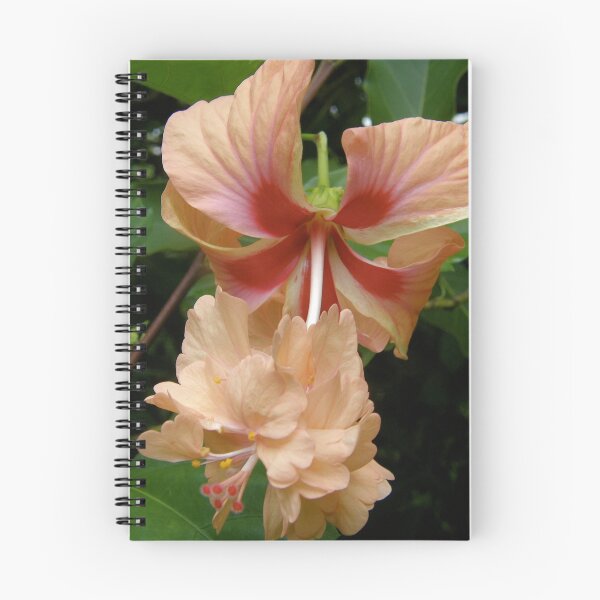 Item preview, Aloalo,koki'o designed and sold by Kuulei2you.