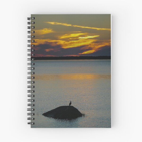 Item preview, Cormoran at Saint Lawrence River  Québec designed and sold by 29Breizh33.
