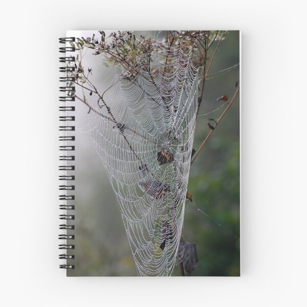 Artikelvorschau, A Jewel of a Spider Web entworfen und verkauft von barnsis.