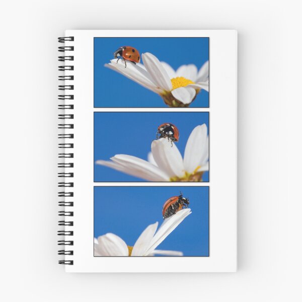 Item preview, Mariquitas designed and sold by Melinda Gaal.