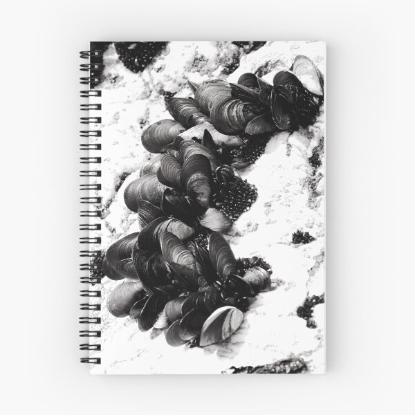 Item preview, Criaturas del mar designed and sold by Cornwall.