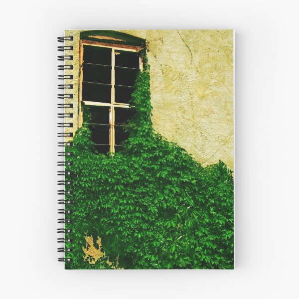 Aperçu de l'œuvre Garden Window créée et vendue par DLDesignWorks.