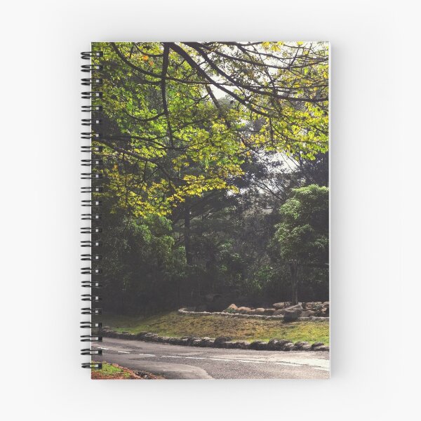 Item preview, Ambiance designed and sold by Charuhas  Images.