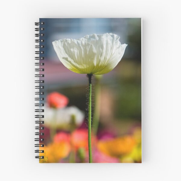 Item preview, Tall Poppy designed and sold by Extraordinary Light.