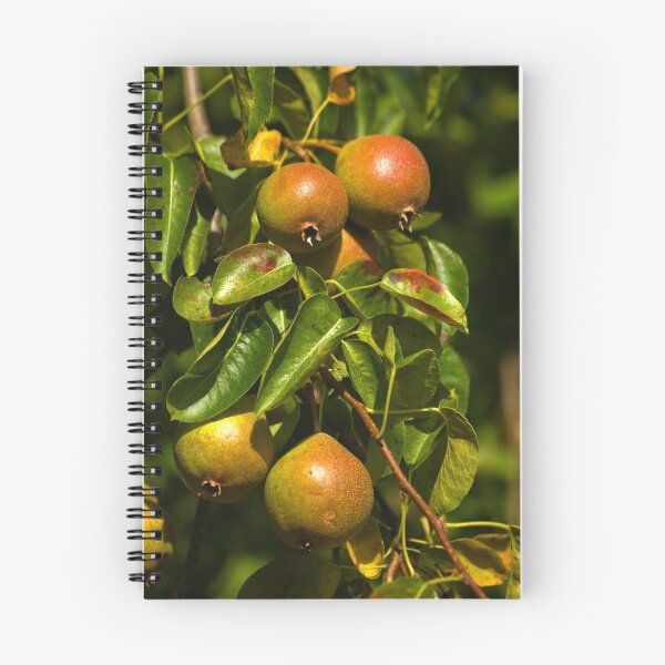 Artikelvorschau, Little Green Apples entworfen und verkauft von Trevor Kersley.