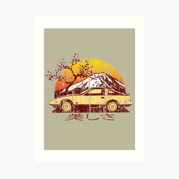 Weathered Beauty Z31 Art Print