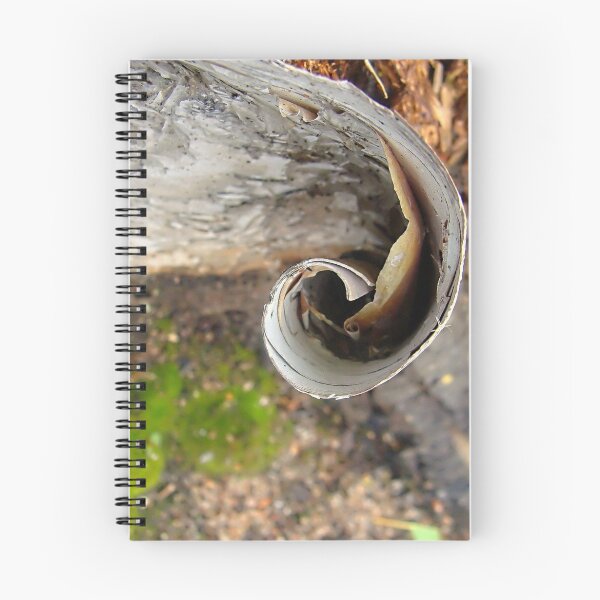 Artikelvorschau, Stillness is your Essential Nature entworfen und verkauft von RobertCharles.