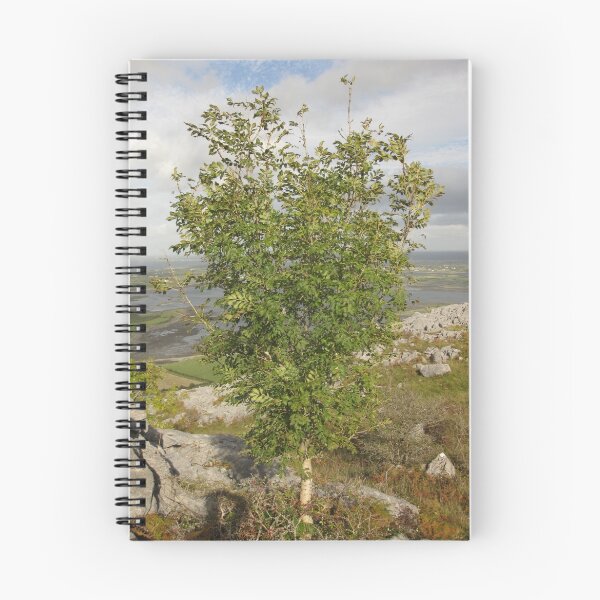 Item preview, Burren Tree designed and sold by John Quinn.