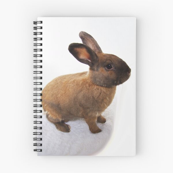 Item preview, Lilo Rabbit designed and sold by Richard Hanley.