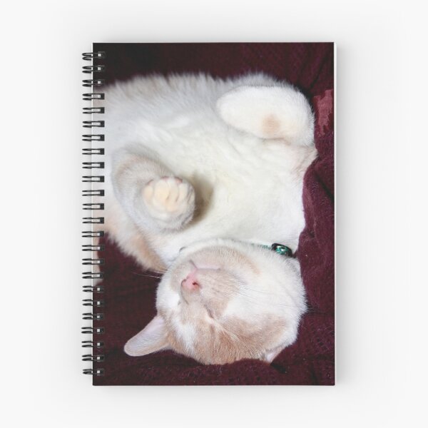 Item preview, Silly Sleeping Pose 09 designed and sold by goldnzrule.