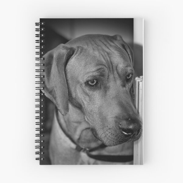 Item preview, Rufus designed and sold by Mark Elshout.