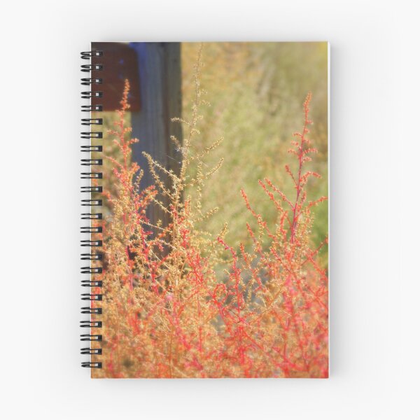 Item preview, So Simple designed and sold by Debbie Roelle.