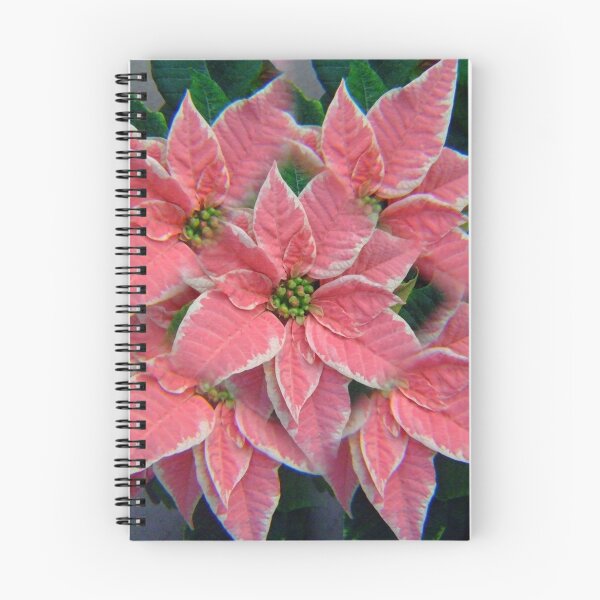 Artikelvorschau, Pink Poinsettia entworfen und verkauft von Bonita Dubil.