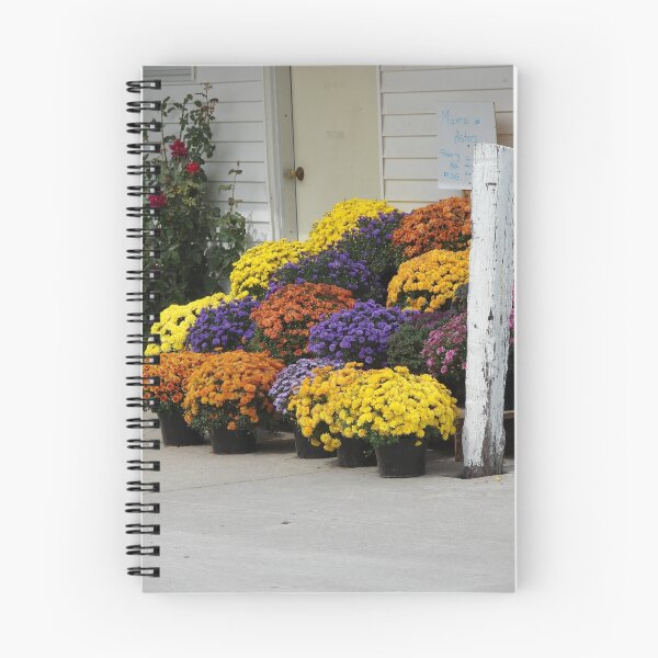 Item preview, Mums and Asters designed and sold by Angelandspot.