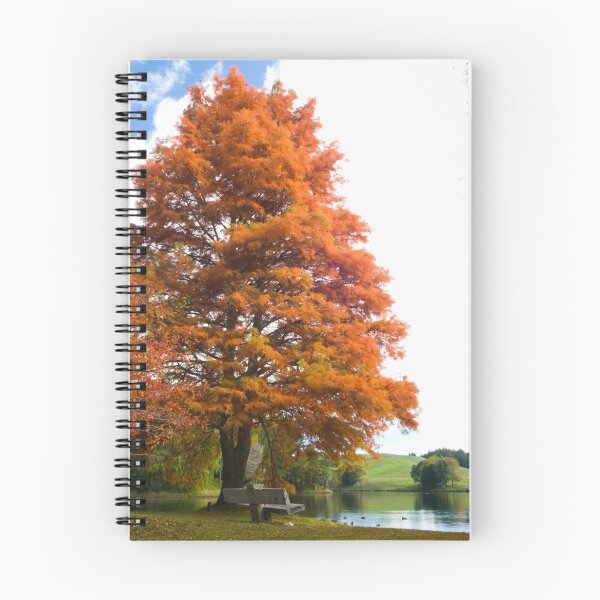 Item preview, Autumn colours by Lake Mclaren designed and sold by Paul Mercer.