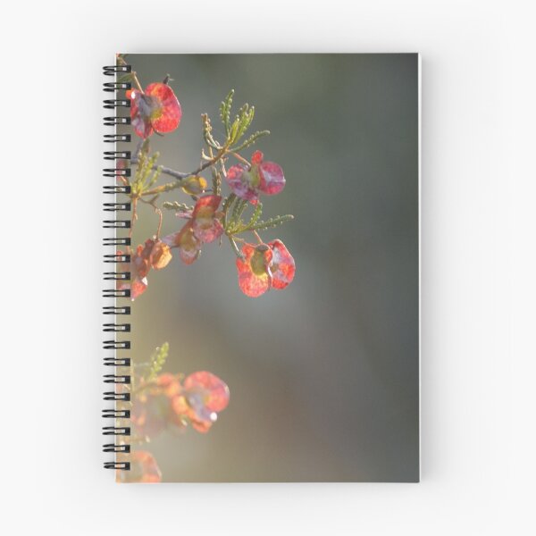 Item preview, Hop Bush,Kalgoorlie West Australia designed and sold by robynart.