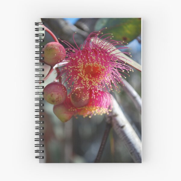 Item preview, Unfolding Blossom designed and sold by Lozzar Flowers & Art.
