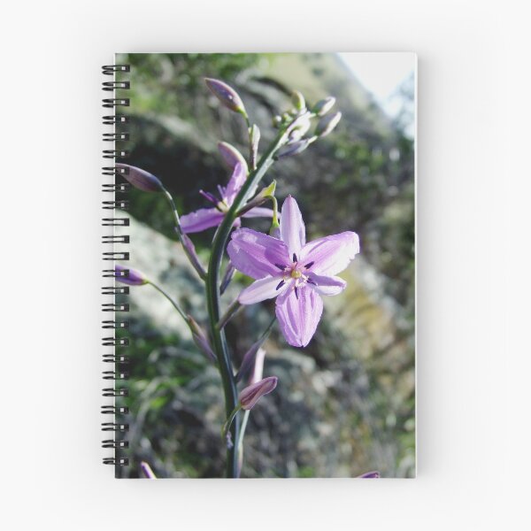 Item preview, chocolate lily designed and sold by jeroenvanveen.