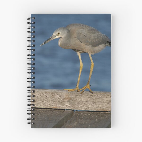 Item preview, White-Faced Heron designed and sold by EverChanging1.