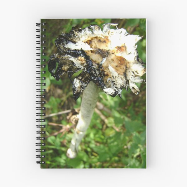 Item preview, inky end designed and sold by armadillozenith.