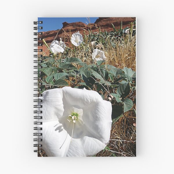 Item preview, Desert Datura © designed and sold by jansnow.