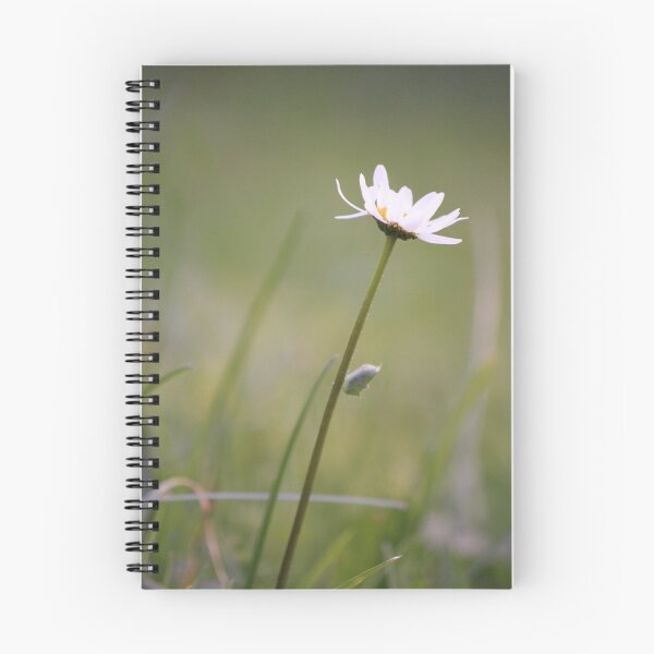 Item preview, Simple beauty designed and sold by Silvia Stewart.