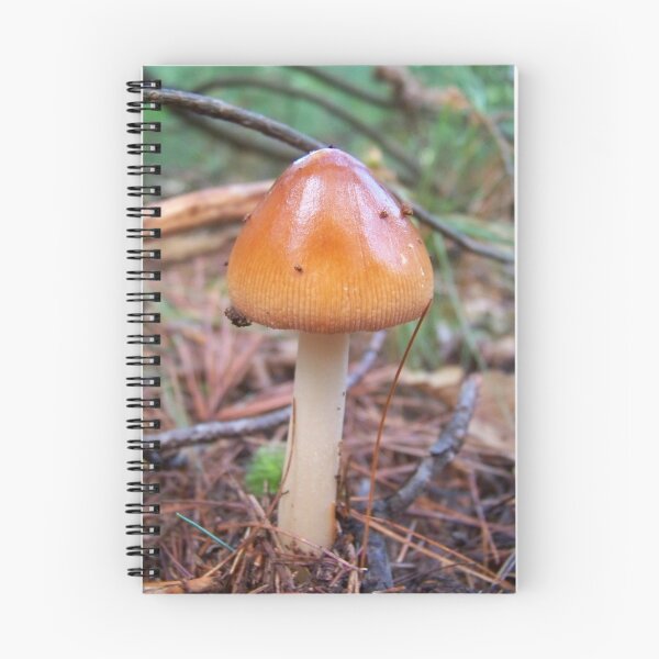 Item preview, Wild Mushroom designed and sold by Dandelion Dilluvio.