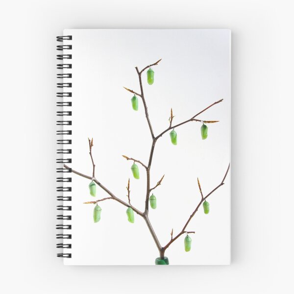 Item preview, Monarch Chrysalis Tree designed and sold by Molly  Kinsey.