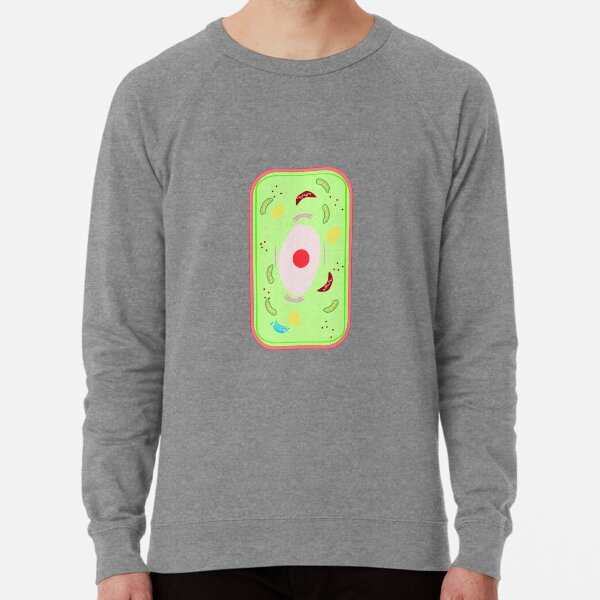 "A plant cell with vacuole, Mitochondria, Golgi bodies ...