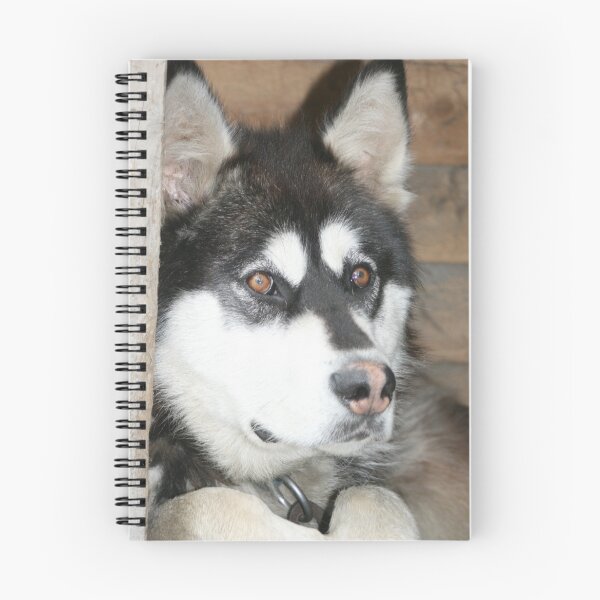 Artikelvorschau, Iditarod Dog entworfen und verkauft von DianaC.