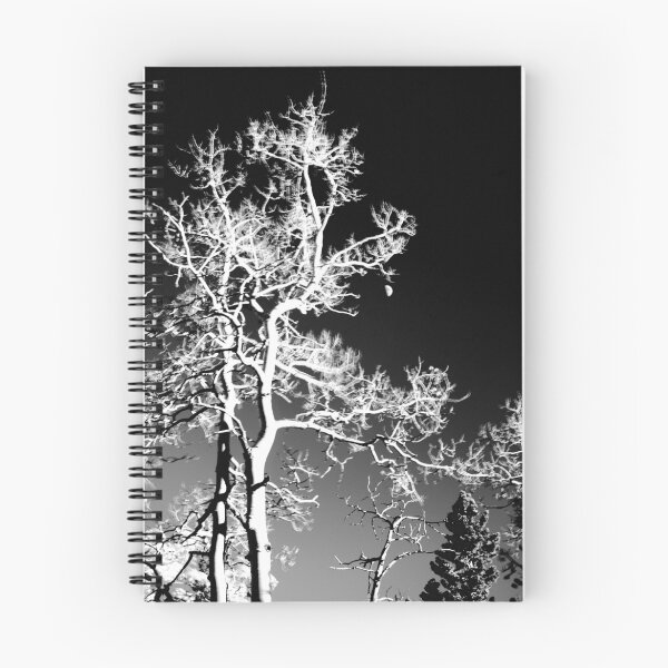 Item preview, Aspen designed and sold by Bryce Bradford.