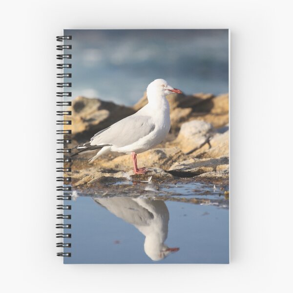 Item preview, Seagull designed and sold by scruffycat.