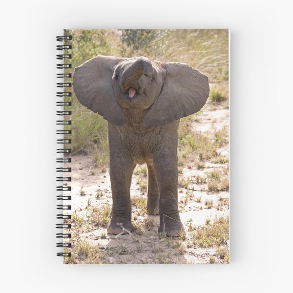 Item preview, Baby Elephant Greeting designed and sold by Michael Moss Photography.