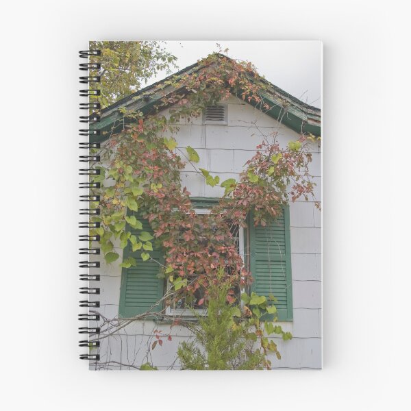 Item preview, Vines over window designed and sold by DariaGrippo.