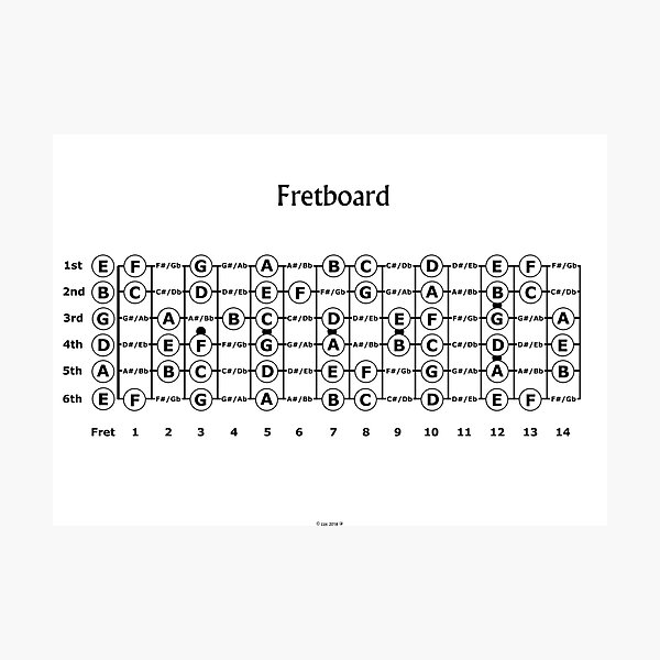 Fretboard in White Photographic Print