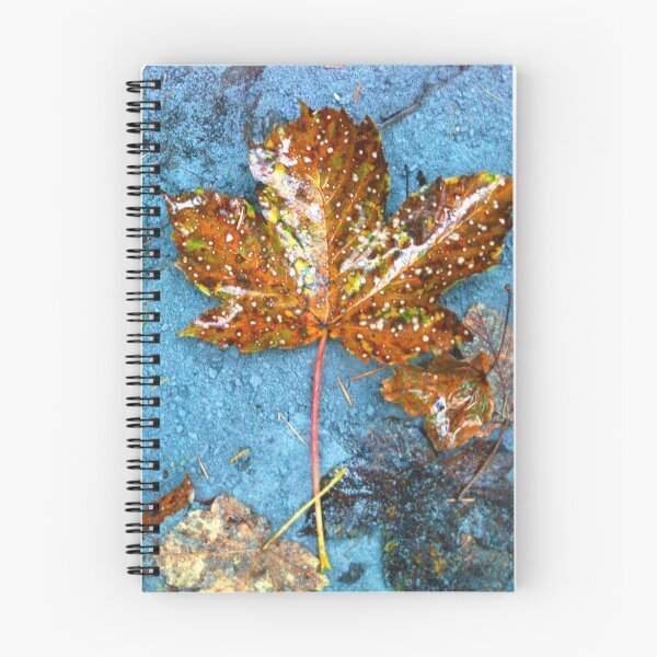 Item preview, hoja de arce designed and sold by Citril.