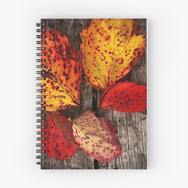 Item preview, A Touch of The Autumnal designed and sold by ellylucas.