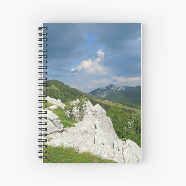FOREVER GREEN Spiral Notebook