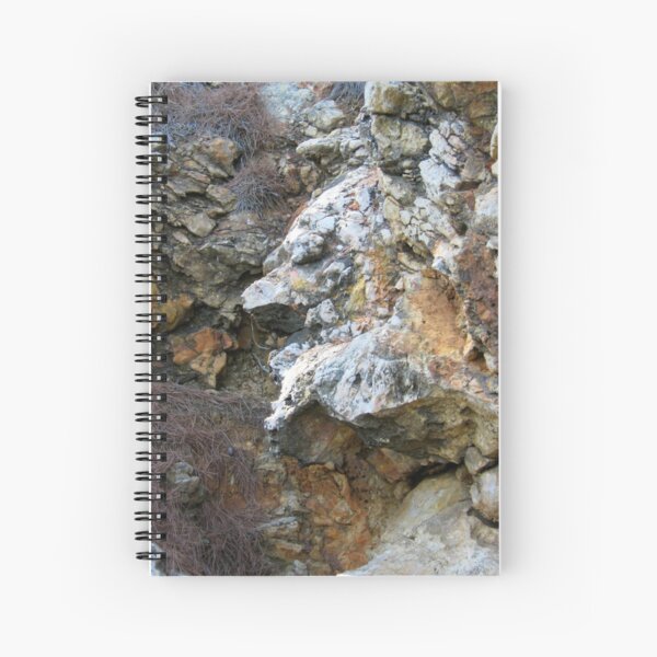 WITCH OF THE ISLAND Spiral Notebook