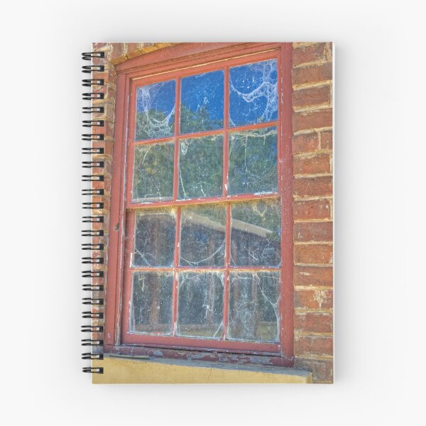 Artikelvorschau, Cob-webbed Window, Monte Christo, Junee, NSW, Australia (HDR) entworfen und verkauft von Adrian Paul.